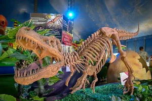 Dinosaur skeleton at The Amazing Dinosaur
